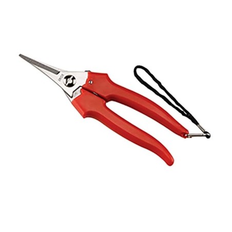 Ideal scissor for harvesting harvesting pruning shaving | Newgardenmac.com