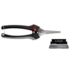 Bellota 3621 stainless steel harvesting shear - cemb pruning vines and fruit trees | Newgardenmac.com