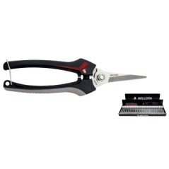 Bellota 3624 stainless steel harvesting shear - cemb vine pruning 040431 | Newgardenmac.com