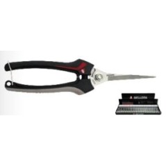 Bellota 3629 inox harvesting shear - cemb for pruning vines and fruit trees | Newgardenmac.com