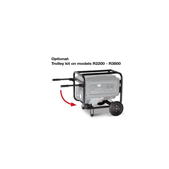 RATO R3800 Benzin-Stromerzeuger 301 ccm Höchstleistung 3,8 kW | Newgardenmac.com