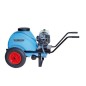 Pulverizador TECNOSPRAY C80 Motor BRIGGS&STRATTON 3,5 CV 25 bar