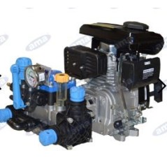 2-Membran-Motorpumpe mit AXO 4 für Bewässerung 91561 | Newgardenmac.com