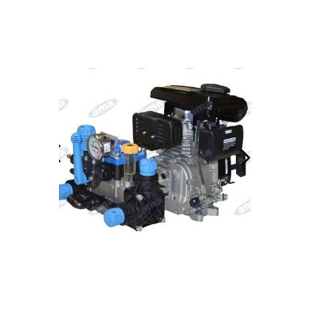 2-diaphragm motor pump with AXO 4 for irrigation 91561 | Newgardenmac.com