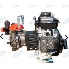 Motor pump AR 252 with internal combustion engine for spraying 73284 | Newgardenmac.com