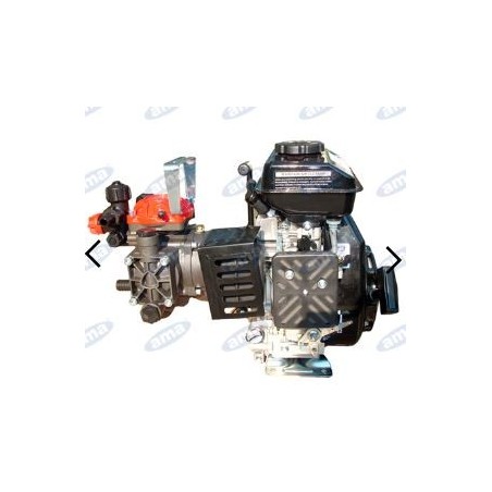 Motor pump AR 252 with internal combustion engine for spraying 73284 | Newgardenmac.com