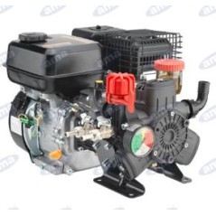 Motor-pump AR 403 with internal combustion engine for spraying 92888 | Newgardenmac.com