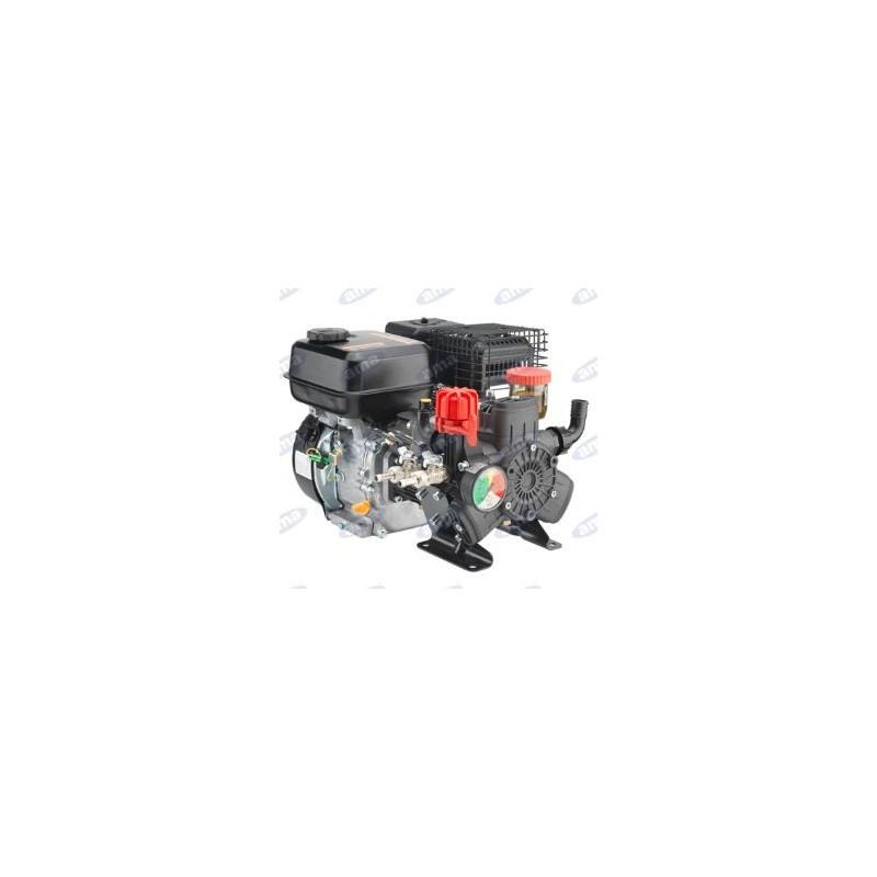 Motor-Pumpe AR 403 mit Verbrennungsmotor zum Sprühen 92888