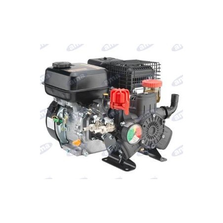 Motor-Pumpe AR 403 mit Verbrennungsmotor zum Sprühen 92888 | Newgardenmac.com