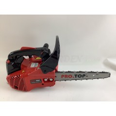 PRO.TOP T-251 CARVING petrol chainsaw 2-stroke engine 25 cc 25 cm bar | Newgardenmac.com