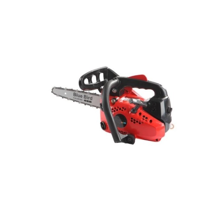 BLUE BIRD CS250 CARVING tronçonneuse cylindrée 25.4 cc barre 10 (25 cm) CARVING | Newgardenmac.com