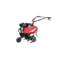 RL40 MECCANICA BENASSI Motor Loncin G200F 5,5 PS Benzin-Rotationsfräse 80 cm | Newgardenmac.com