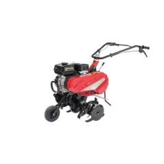 RL50 MECCANICA BENASSI motor LONCIN G200F 5,5 CV motoazada de gasolina 80 cm | Newgardenmac.com