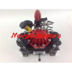 Diaphragm pump M 50 C 6 IMOVILLI medium-high pressure 50 l/1'-40 bar -550 rpm | Newgardenmac.com