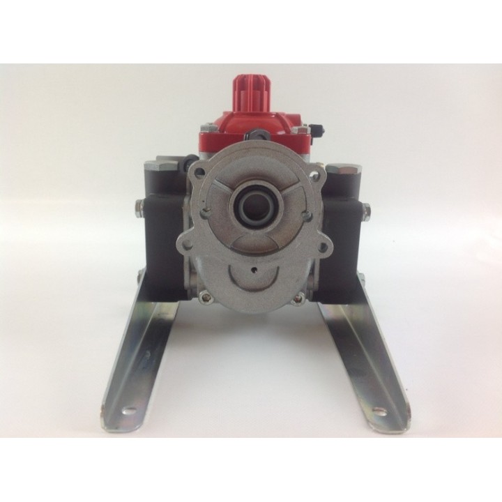 Bomba de membrana M20 VR 15 IMOVILLI media-alta presión 20 l/1'-25 bar-700 rpm | Newgardenmac.com