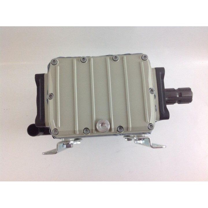 Three-piston pump P 63 IMOVILLI high pressure 51 l/1' - 50 bar - 600 rpm | Newgardenmac.com