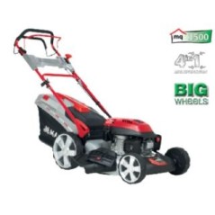 Cortacésped de tracción de acero MAORI MP 5015 SQ motor Y145V OHV 145 cc | Newgardenmac.com