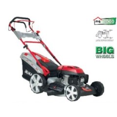 MAORI MP 5517 SQ steel traction lawnmower Y170V OHV engine 170 cc | Newgardenmac.com