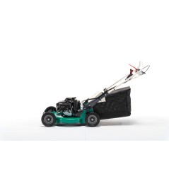 Segadora autopropulsada OREC GRH 537 PRO con motor HONDA GXV160 transmisión hidrostática | Newgardenmac.com