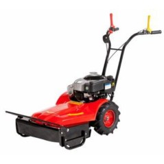 Faucheuse MECANIQUE BENASSI RF219 moteur BRIGGS&STRATTON essence 55 cm | Newgardenmac.com