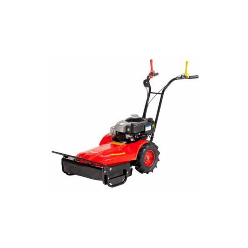 Reaper MECHANICAL BENASSI RF219 engine BRIGGS&STRATTON petrol working 55 cm