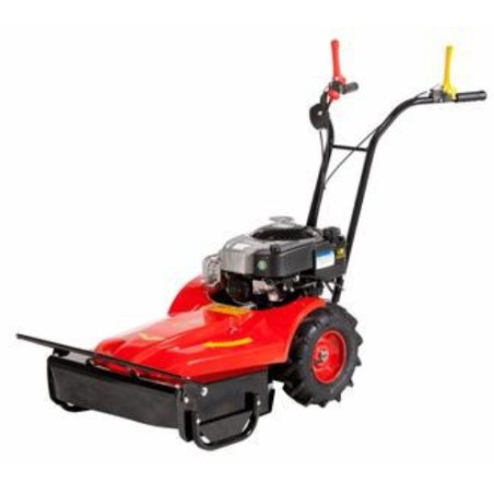 Mähmaschine MECHANISCH BENASSI RF219 Motor BRIGGS&STRATTON Benzin arbeiten 55 cm | Newgardenmac.com