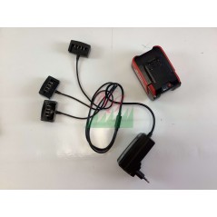 BLUE BIRD BS 22-400 400W sprayer blower, air speed 45 m/s, 3L tank | Newgardenmac.com