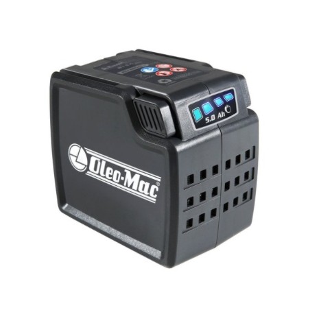 OLEOMAC BVi60 40V battery blower with 2.5 Ah battery and charger