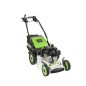 LH2 ETESIA PRO53 lawn mower with HONDA 163 cc engine 51 cm trailed cut