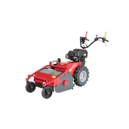 MECCANICA BENASSI TR500 mulcher B&S petrol engine 5.6HP working 50 cm | Newgardenmac.com