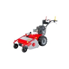 Mulcher MECCANICA BENASSI TR600 B&S Benzinmotor 7.8HP arbeitend 60 cm | Newgardenmac.com