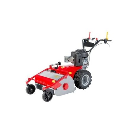 Mulcher MECCANICA BENASSI TR600 B&S Benzinmotor 7.8HP arbeitend 60 cm | Newgardenmac.com