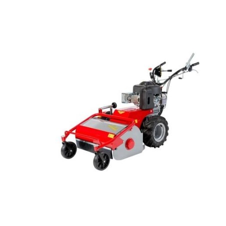 Mulcher MECCANICA BENASSI TR600 IDRO Motor B&S Arbeitsbreite 60cm | Newgardenmac.com