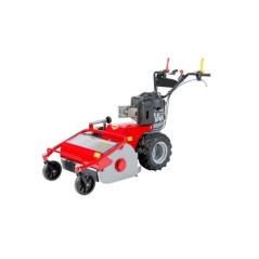 MECCANICA BENASSI TR800 motor gasolina B&S anchura de trabajo 75cm | Newgardenmac.com