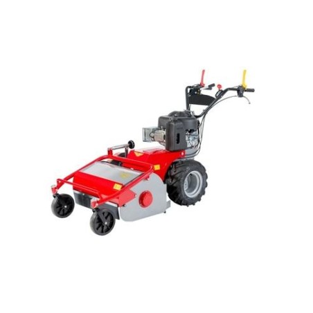 MECCANICA BENASSI TR800 motor gasolina B&S anchura de trabajo 75cm | Newgardenmac.com