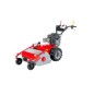 Mulcher MECCANICA BENASSI TR800 Benzinmotor B&S Arbeitsbreite 75cm