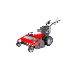 MECCANICA BENASSI TR900 Hydromulcher B&S Motor B&S Arbeitsbreite 90cm | Newgardenmac.com