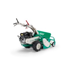 Self-propelled flail mower OREC HR812H engine HONDA 389cc working width 80 cm | Newgardenmac.com