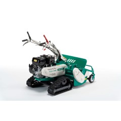 Self-propelled flail mower OREC HRC813 engine HONDA 389cc crawler working 80 cm | Newgardenmac.com