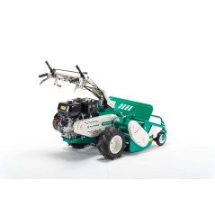 Self-propelled flail mower OREC HRH801H engine HONDA 389cc working width 80 cm | Newgardenmac.com