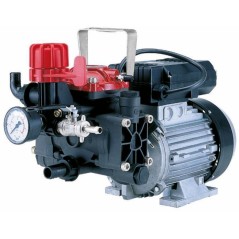 Elektrische Pumpe AR 252EM mit einphasigem Elektromotor für die Bewässerung 34164 | Newgardenmac.com