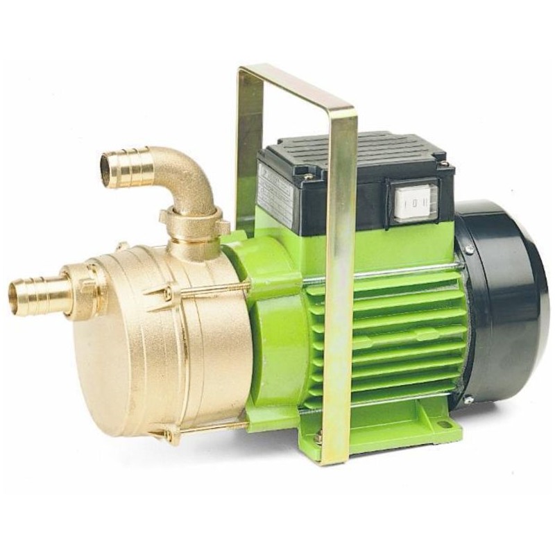 Electric transfer pump with double directional self-priming handle 01089