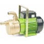 Electric transfer pump with double directional self-priming handle 01089