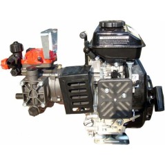 Motor pump AR 252 with internal combustion engine for spraying 73284 | Newgardenmac.com