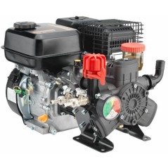 Motor-pump AR 403 with internal combustion engine for spraying 92888 | Newgardenmac.com