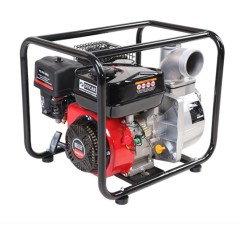 DP 80 SERIE DUCAR Petrol-driven motor-pump with 4-stroke OHV 208 cc engine | Newgardenmac.com