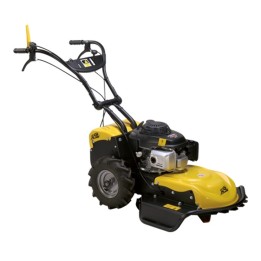 Disboscatore ROQUES ET LECOEUR RL115 H 53 cm con motore HONDA GCVx 200 OHC 201 cc | Newgardenmac.com
