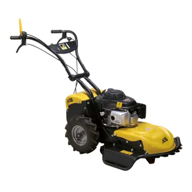 Disboscatore ROQUES ET LECOEUR RL115 H 53 cm con motore HONDA GCVx 200 OHC 201 cc