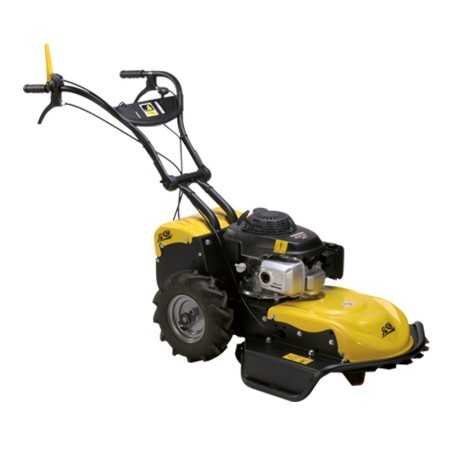 Disboscatore ROQUES ET LECOEUR RL115 H 53 cm con motore HONDA GCVx 200 OHC 201 cc | Newgardenmac.com