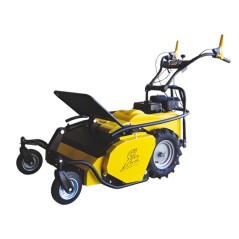 ROQUESETLECOEUR RL460B 60 cm Schlegelmäher mit BRIGGS & STRATTON Motor | Newgardenmac.com